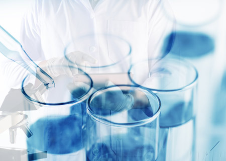 SAP Implementation Support Services for Chemicals