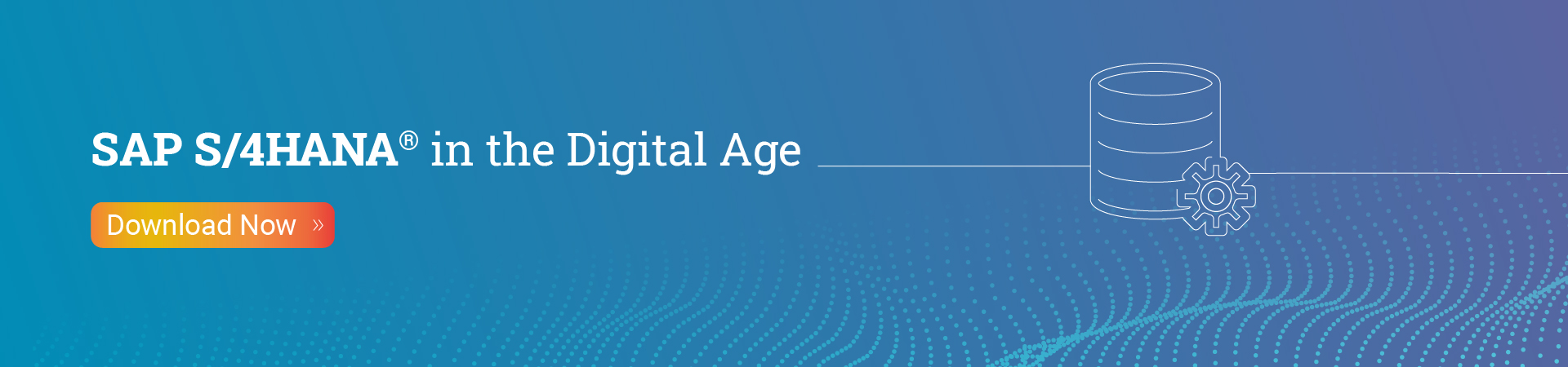 SAP S4HANA in the Digital Age